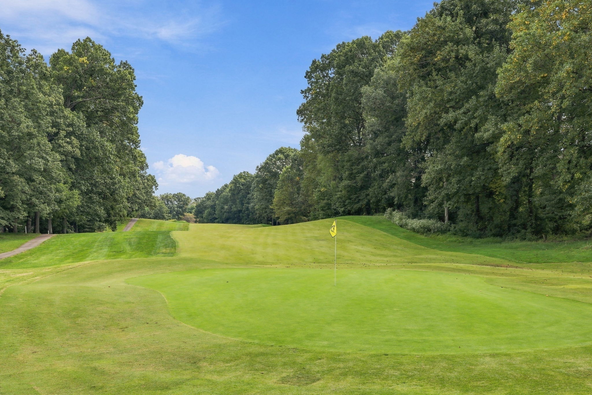 Flagstick on a green framed by dense trees at Penderbrook Golf Club in Fairfax, Virginia